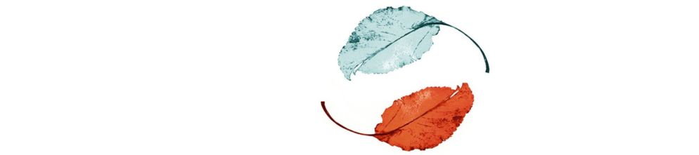 Online Counselling and Therapy